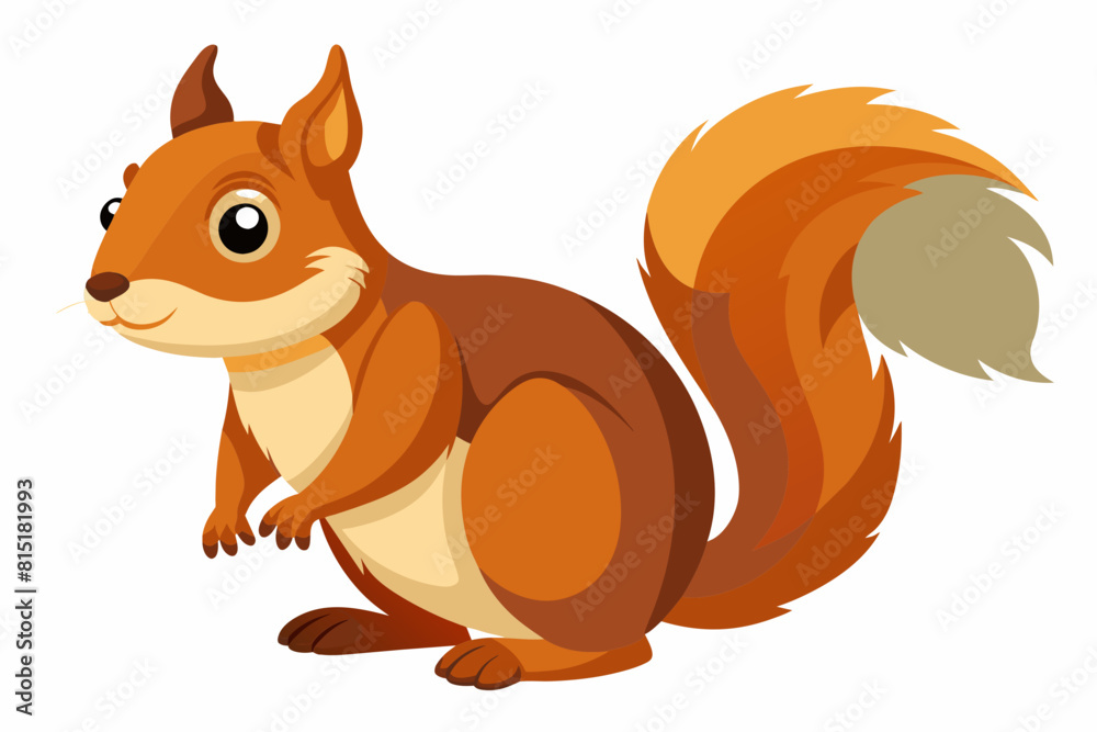 squirrel cartoon vector illustration squirrel cartoon vector illustration