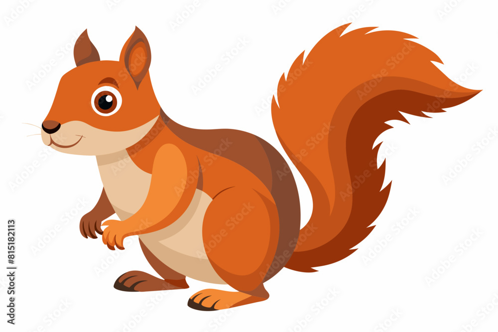 squirrel cartoon vector illustration squirrel cartoon vector illustration