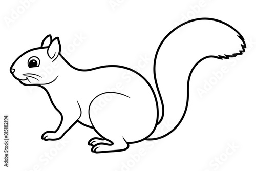 squirrel line art silhouette illustration