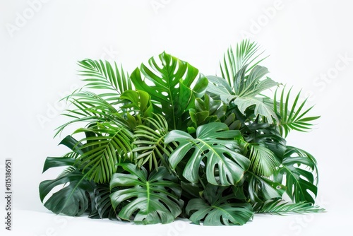 A bunch of green leaves are piled up on a white background