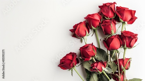 A stunning Valentine s greeting card featuring vibrant red roses stands out beautifully against a crisp white background