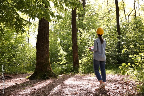Принти на полотні Forester with clipboard examining plants in forest, back view