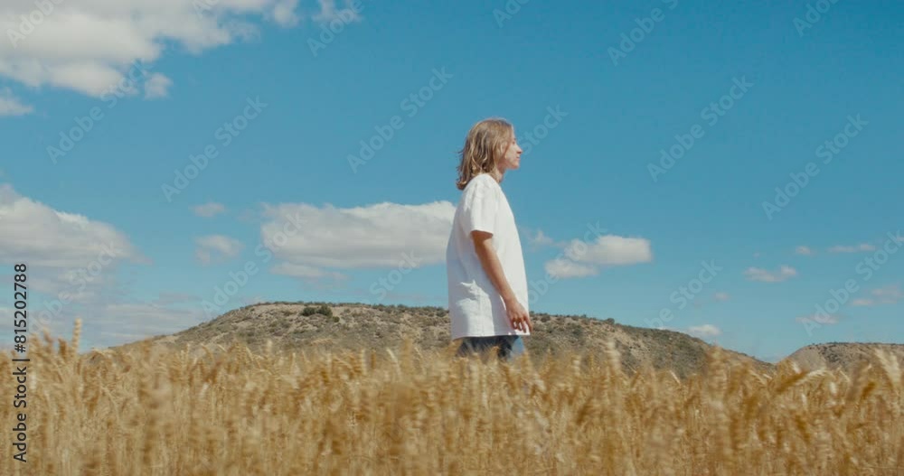 Tracking shot of young woman walk slowly in field of wheat, bright blue sky on background. Summer vibes, colorful shot with two colors, space for text copy Tracking shot of young woman walk slowly in field of wheat, bright blue sky on background. Summer vibes, colorful shot with two colors, space for text copy