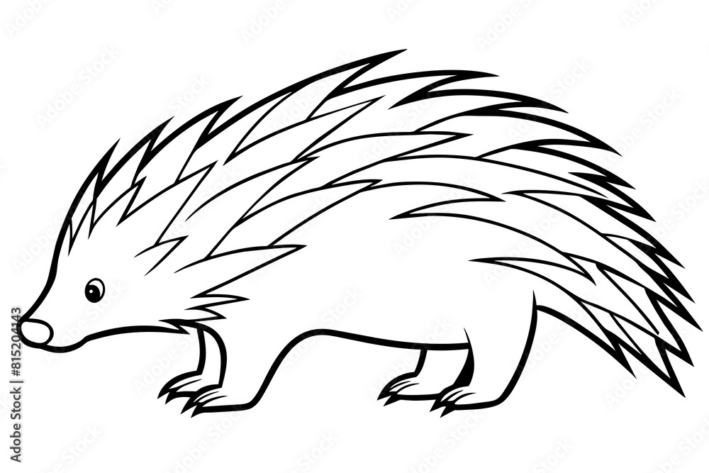 porcupine line art silhouette illustration porcupine line art silhouette illustration