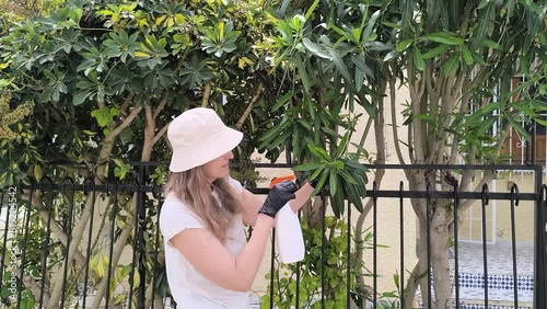 A woman sprays a green tree against pests and diseases with a garden hand sprayer. Fertilizer treatment or pest control, spraying bottled pesticides photo
