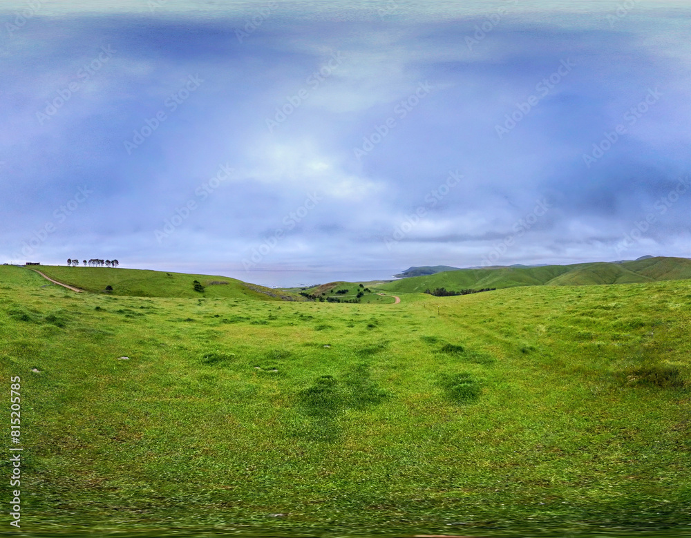 pasture of grass with horizon at dawn, dusk