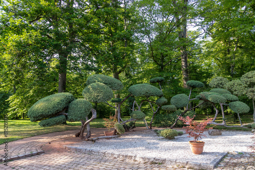 Arbustes taillés en topiaire sur une place pavée dans un jardin botanique