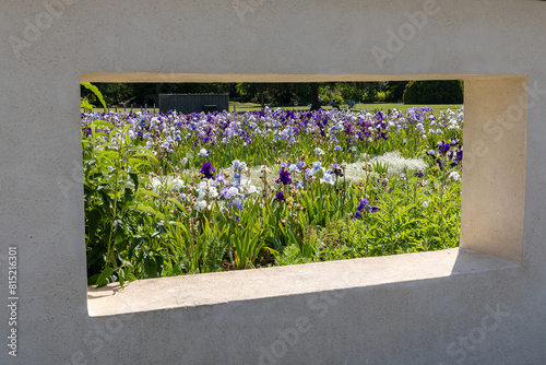 Promenade le long d'une allée entourée de massifs de plantes à fleurs et graminées dans le parc botanique d'un jardin public