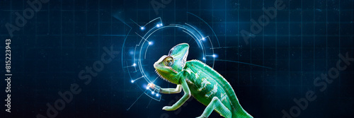 cyber chameleon interface animal connection