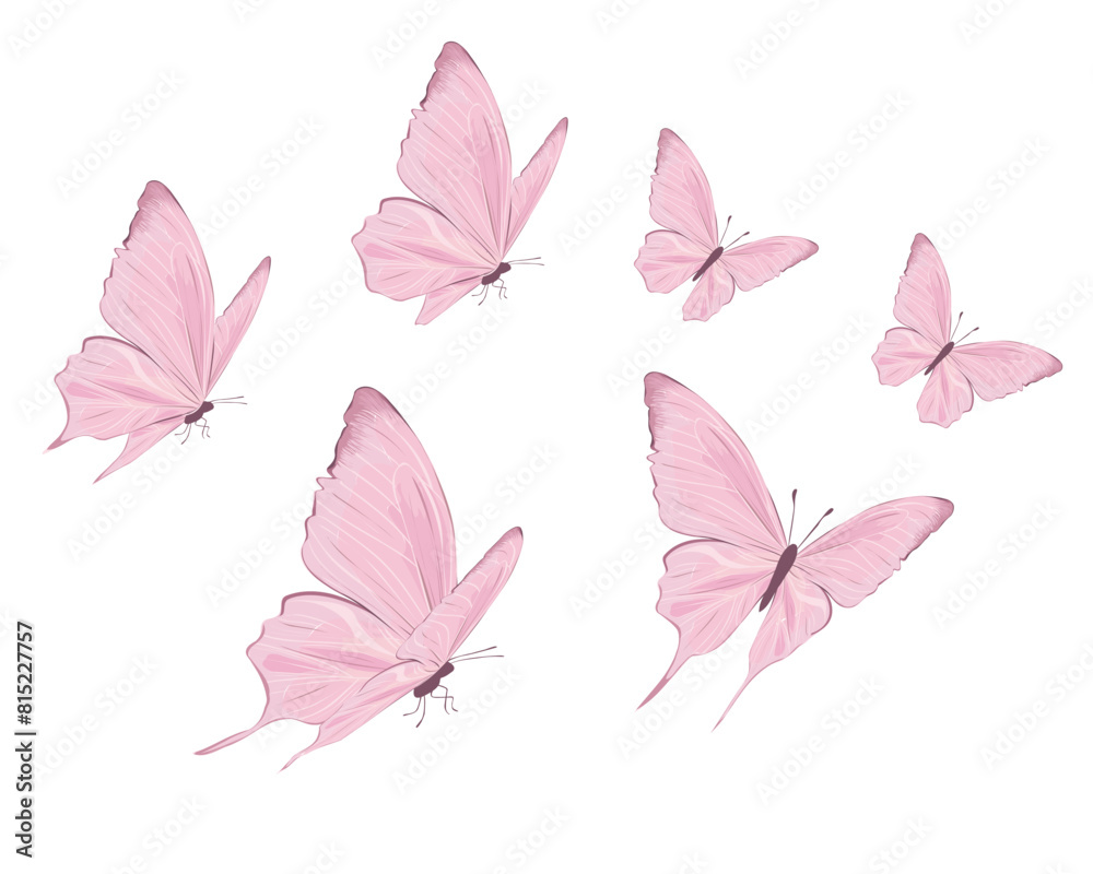 Obraz premium pink butterflies hand drawn.eps