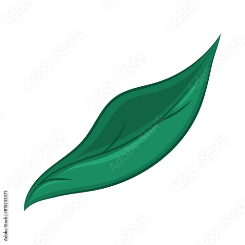 Realistic detailed leaf Vector illustration