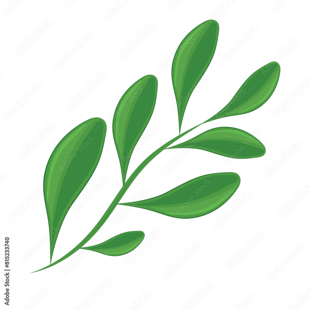 Realistic detailed branch of leaves Vector illustration