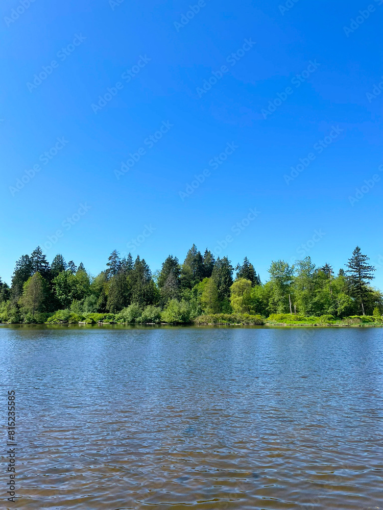 Obraz premium Lake and Forest