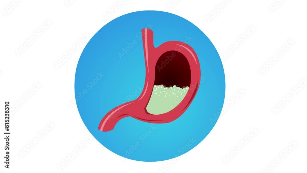 Animation of a human stomach with gastric juice bubbling, health. Animation of a human stomach with gastric juice bubbling, health.