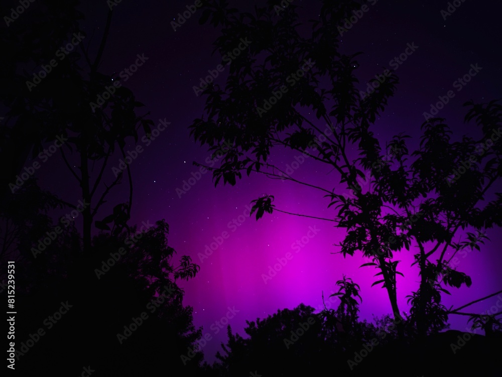 night in the woods night in the woods