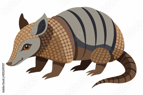 armadillo cartoon vector illustration