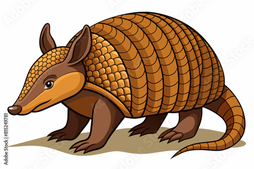 armadillo cartoon vector illustration