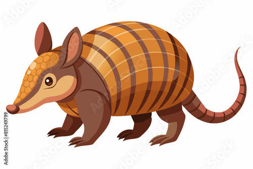 armadillo cartoon vector illustration