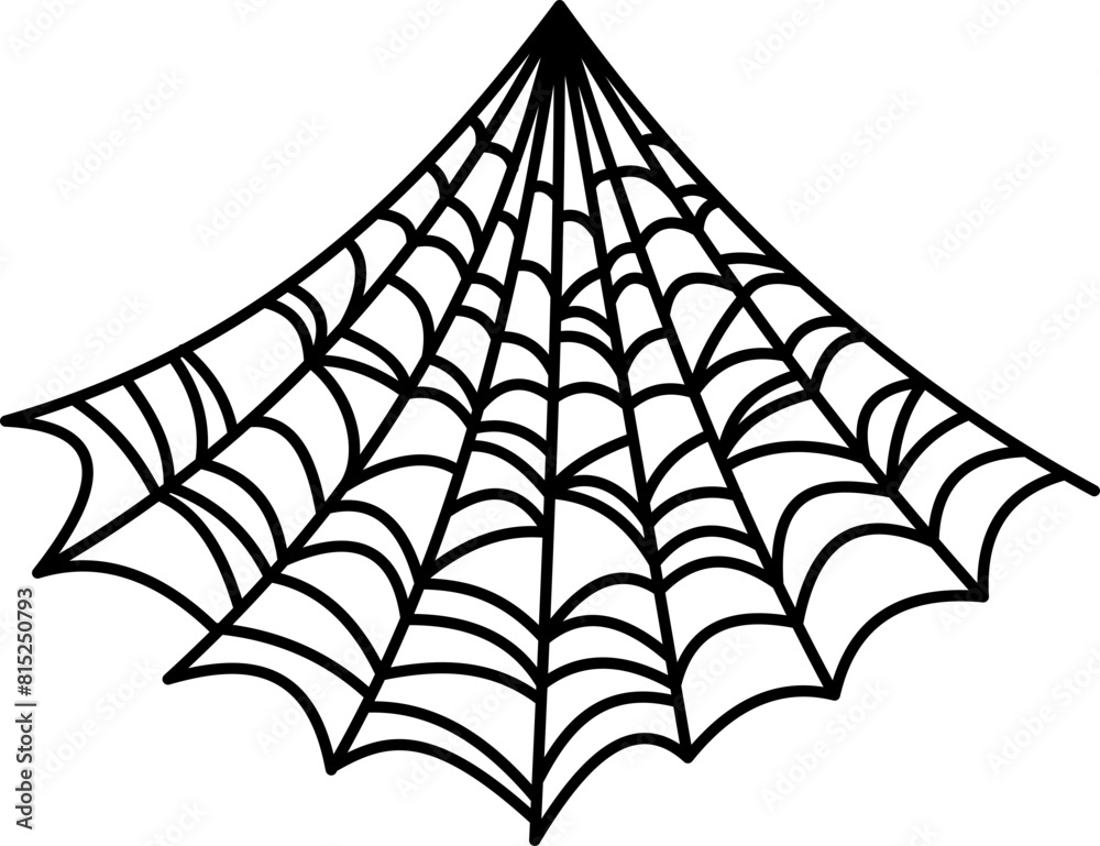 Fototapeta premium Spider Web