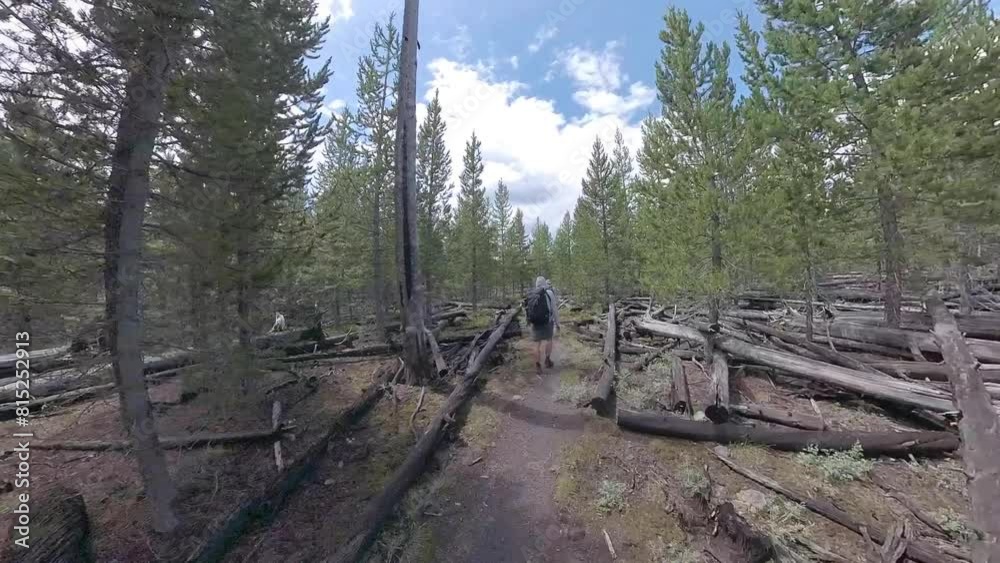 Two Men Hike on Smooth Dirt Trail through Yellowstone Forest in Summer Two Men Hike on Smooth Dirt Trail through Yellowstone Forest in Summer