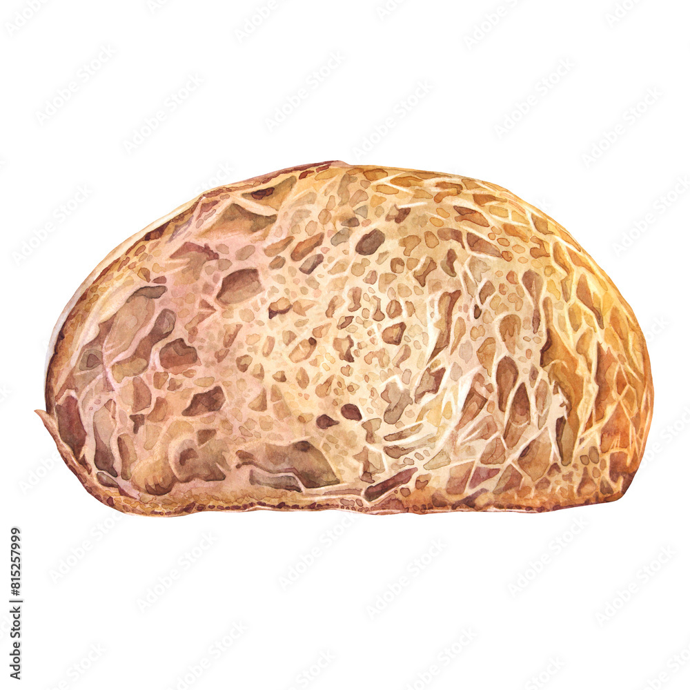 Watercolor slice of loaf of fresh crispy homemade bread isolated on white background. Whole grain bun for healthy breakfast. Hand-drawn food for cookbook or kitchen. Clipart for wallpaper wrapping Watercolor slice of loaf of fresh crispy homemade bread isolated on white background. Whole grain bun for healthy breakfast. Hand-drawn food for cookbook or kitchen. Clipart for wallpaper wrapping