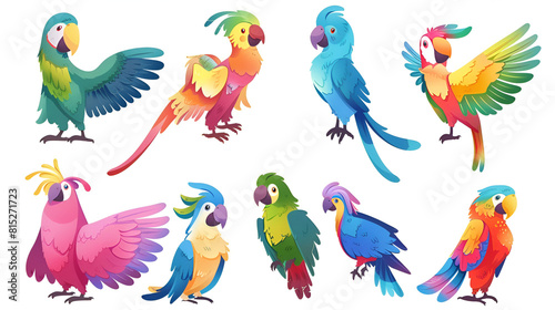 Cute funny parrot characters set. Cartoon vector collection of different colorful friendly exotic bird species with beak  wing and tales with multicolored feathers. Jungle exotic animals and pets.