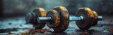 Strength Training Equipment Closeup: Dumbbells, Barbells, and Weights on Fitness Background
