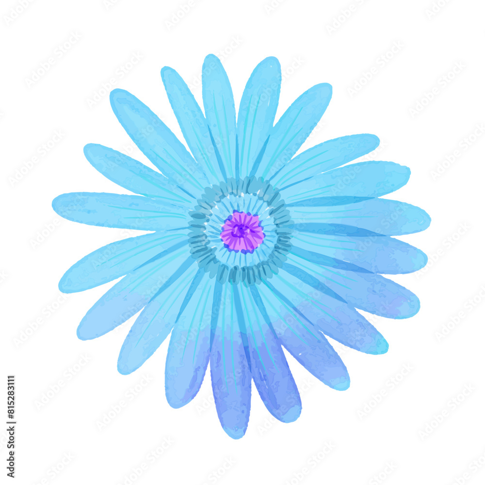 Obraz premium Watercolor flowers illustration on white background