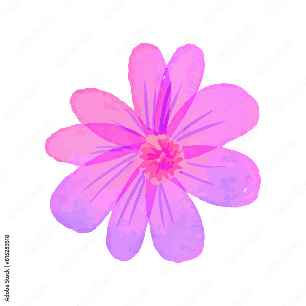 Watercolor flowers illustration on white background Watercolor flowers illustration on white background