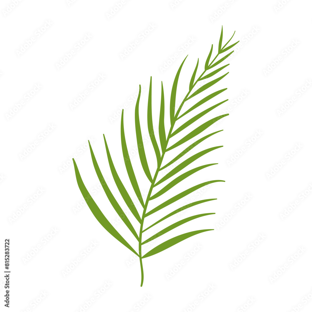 Abstract tropical leave on white background Abstract tropical leave on white background