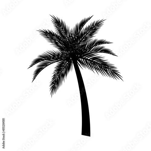 Palm tree silhouette illustration on white background