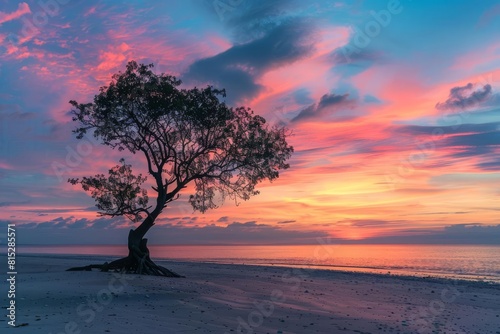 serene sunset lone tree silhouetted against a vibrant sky on a tranquil beach landscape photography