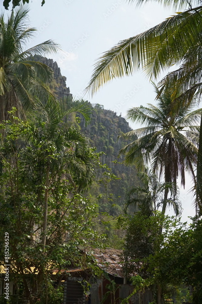 Obraz premium A lush green jungle with palm trees and a house in the background