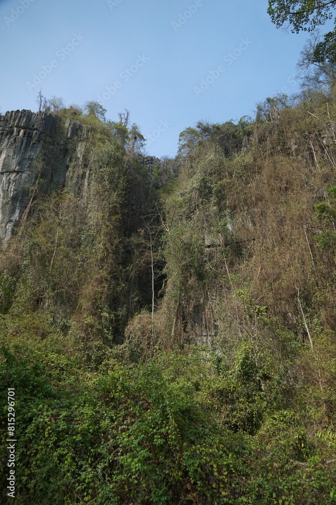 Obraz premium A mountain with a lot of trees and a clear blue sky