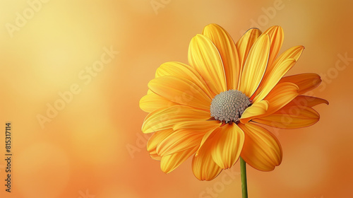 Close-up of a vibrant yellow daisy flower against a soft orange gradient background.