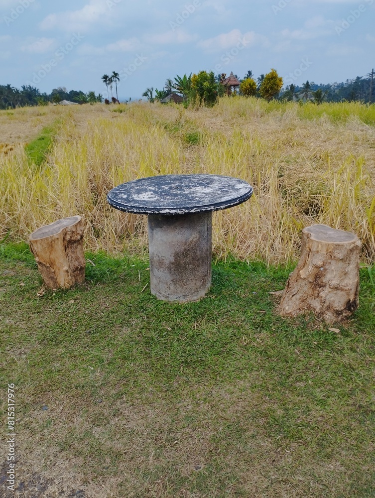 Bali Island : wooden chair in rice field Bali Island : wooden chair in rice field
