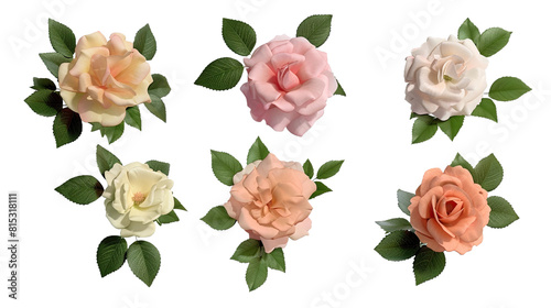 Beautifully crafted set of shrub rose cut-outs, perfect for digital art and design projects. This collection features high-resolution 3D roses isolated over a transparent background, offering top view