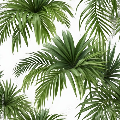 Realistic palm leaves shrubs corner on transparent backgrounds 3d rendering png 