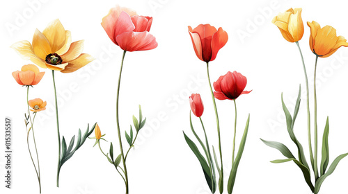 Spring Blossom Collection  Vibrant Colorful Flowers Isolated on Transparent Background - Top View PNG Digital Art 3D