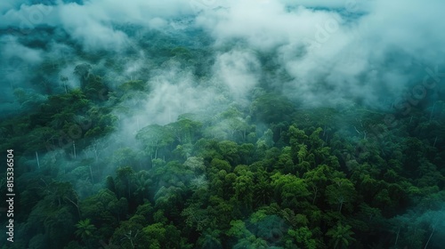 Immerse yourself in the breathtaking aerial perspective of a lush dark green forest blanketed by misty clouds Explore the vibrant ecosystem of the rainforest embodying the essence of natura