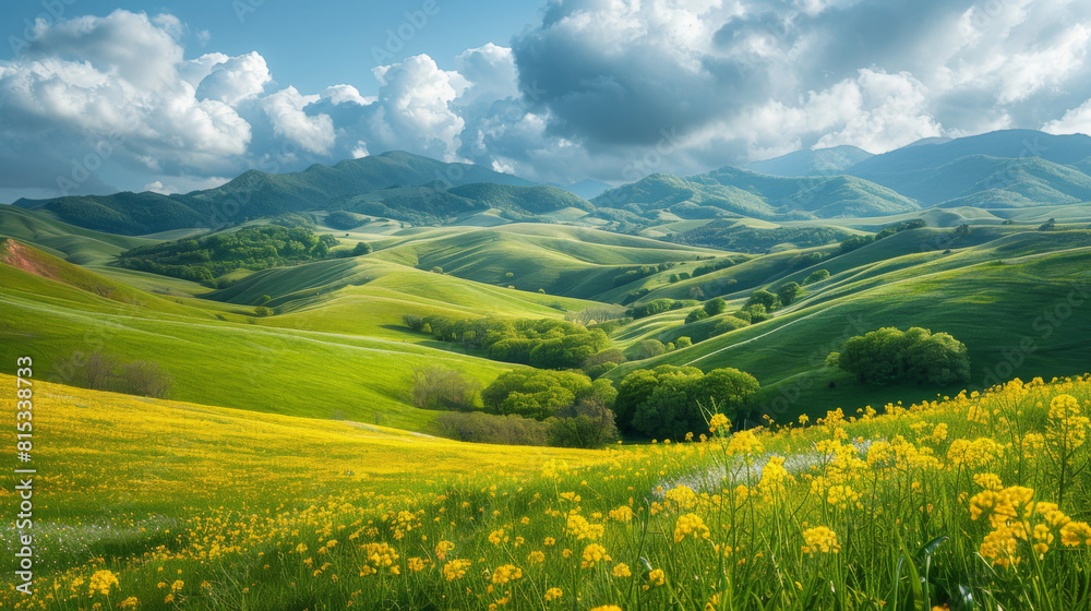 Vibrant spring landscape featuring lush green rolling hills and a colorful display of wildflowers under a cloudy sky.