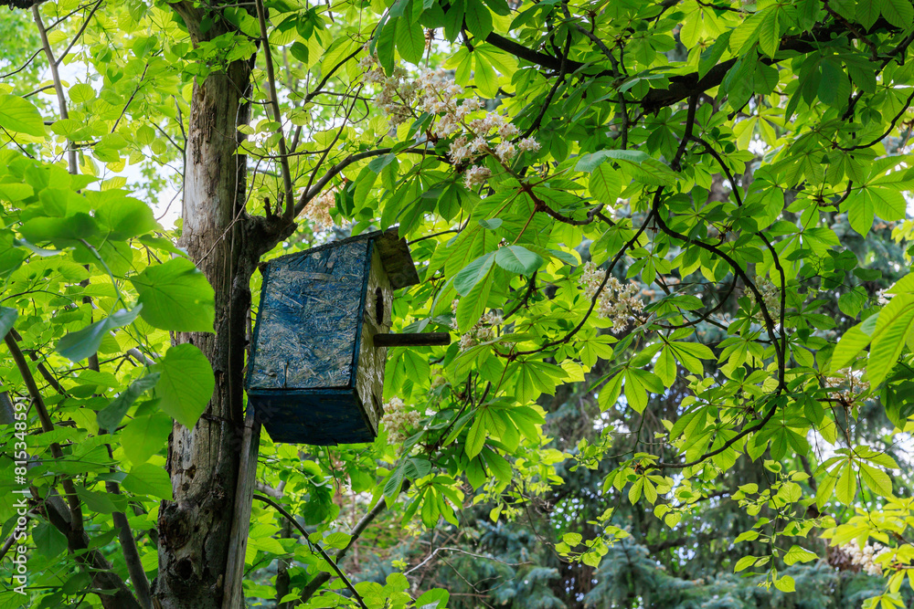 A blue birdhouse is hanging from tree branch A blue birdhouse is hanging from tree branch