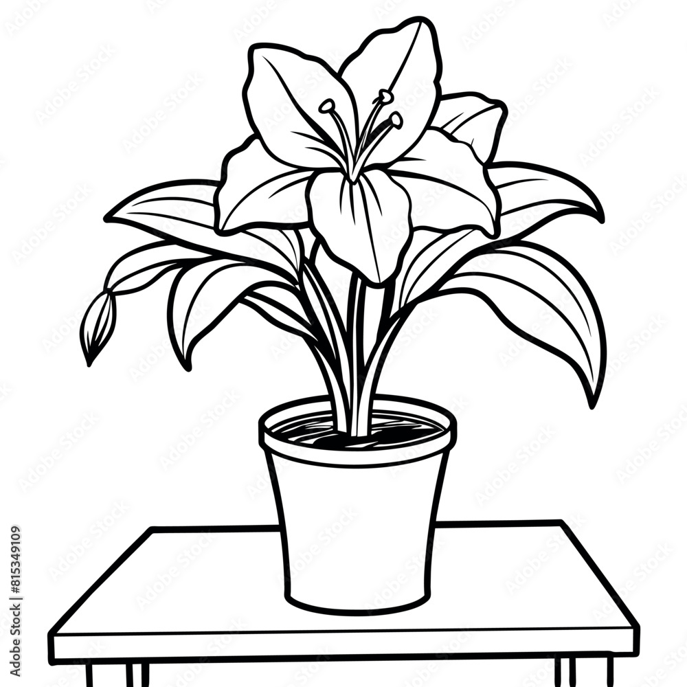 Obraz premium Amaryllis Flower outline illustration coloring book page design, Amaryllis Flower black and white line art drawing coloring book pages for children and adults 