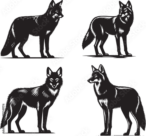  4 set of black Coyote silhouette vector isolated on white background transparent illustration set.