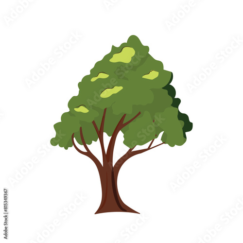 Isolated single tree on white background  cartoon tropical tree with green leaves  flat vector illustration