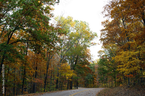 Autumn color in the forest along Ozark Run Scenic Byway in Missouri