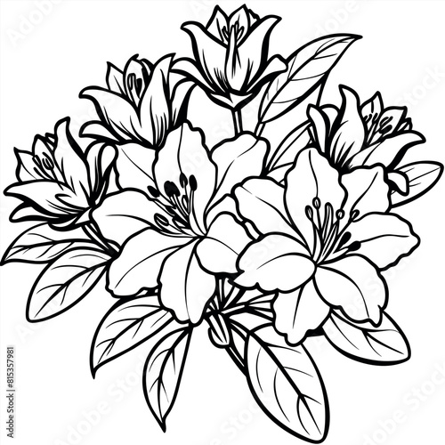 Azalea flower outline illustration coloring book page design, Azalea flower black and white line art drawing coloring book pages for children and adults
