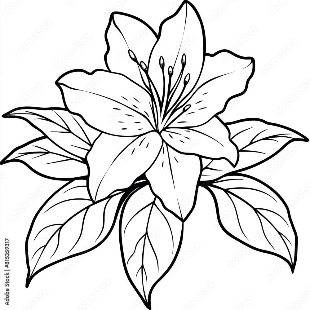 Fototapeta premium Azalea flower outline illustration coloring book page design, Azalea flower black and white line art drawing coloring book pages for children and adults