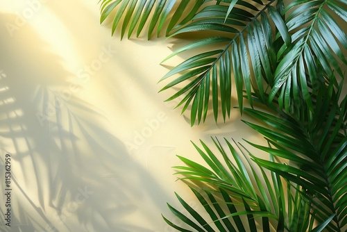 A lush green palm plant with vibrant leaves  bathed in sunlight against an aged stone wall background. Created with Ai