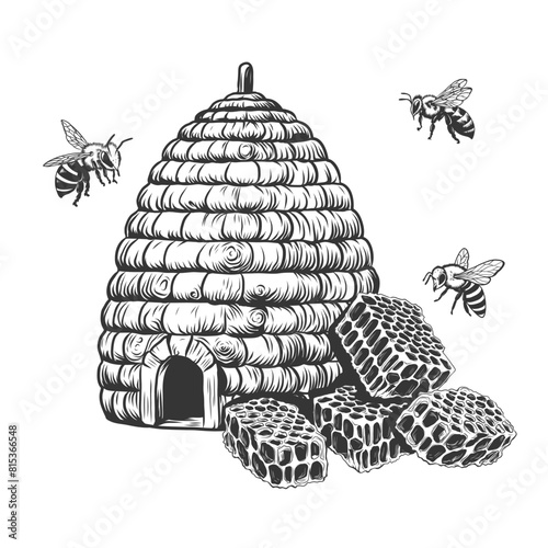 Set of bee, honeycombs and hive vintage monochrome drawing. Hand drawn bee house apiary concept in engraving graphic. Beekeeping and organic bio food production design elements. Monochrome vector